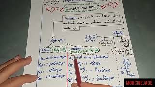 biochimie structurale  les lipides [upl. by Ilarrold631]