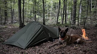 SOLO BUSHCRAFT OVERNIGHT CAMPING  Minimalistic Adventure with Dog [upl. by Rachaba]