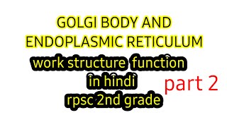 Golgi apparatus  endoplasmic reticulum  golgi body structure and functions cell structure in hindi [upl. by Shermie]