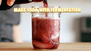 Make a Soda Out of Anything With Fermentation [upl. by Haidedej198]