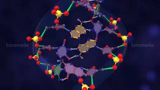 Primary Structure of DNA [upl. by Alby]