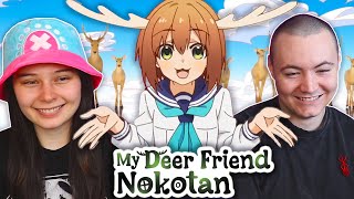 My Deer Friend Nokotan Opening amp Ending REACTION 「しかのこのこのここしたんたん」OP amp ED [upl. by Aloke]