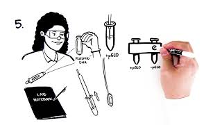 pGLO Bacterial Transformation Student Activity Video Quick Guide [upl. by Hendon]