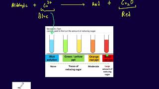 Benedict Solution Test [upl. by Netsyrk757]