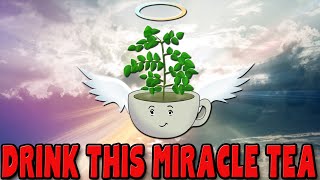 MORINGA TEA is a miracle tea  10 amazing benefits [upl. by Airtemad]