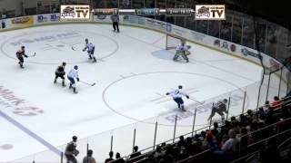 Knoxville Ice Bears VS Columbus Cottonmouths 02062014 [upl. by Timoteo]