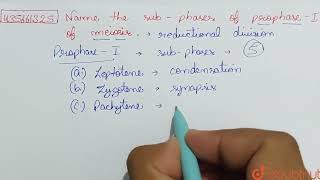 Name the subphases of prophaseI of Meiosis  CLASS 11  CELL CYCLE AND CELL DIVISION  BIOLO [upl. by Leirraj563]