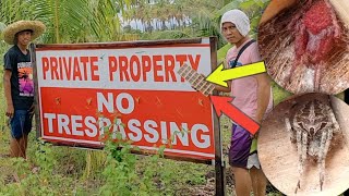 ANG DAMING GAGAMBA PERU BAWAL PUMASOK KASI PRIVATE PROPERTY [upl. by Zelda51]