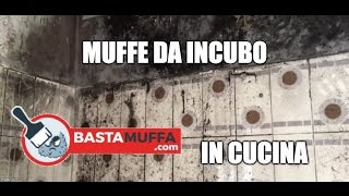 Muffe da Incubo in cucina  Come eliminare la muffa in maniera sicura e definitiva [upl. by Churchill599]