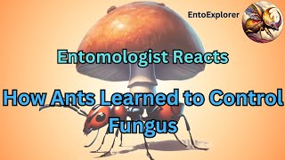 Entomologist Reacts  Moth Light Media  How Ants Learned to Control Fungus [upl. by Ynafit355]