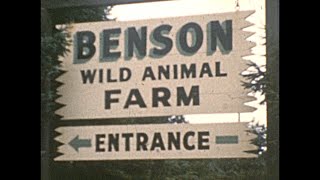 1962  Benson Wild Animal Farm Hudson New Hampshire [upl. by Kama386]