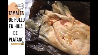 TAMALES DE POLLO EN HOJA DE PLÁTANO RECETA  Vamos a Cocinar [upl. by Fondea]