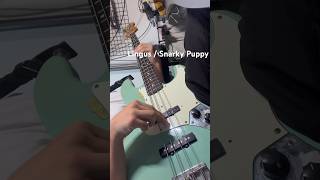 LingusSnarky Puppy Bass Cover bass ベース ベース弾いてみた ベースカバー [upl. by Ullyot]