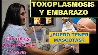 TOXOPLASMOSIS MASCOTAS Y EMBARAZO POR GINECOLOGA DIANA ALVAREZ [upl. by Nunnery]