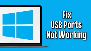 How to Fix USB Ports Not Working in Windows 1011 [upl. by Leahcimauhsoj]