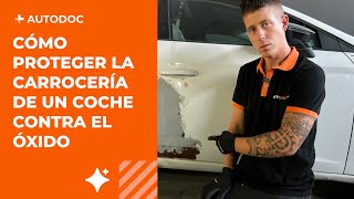 Cómo proteger adecuadamente la carrocería de un coche contra el óxido  AUTODOC [upl. by Torin]