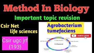 Agrobacterium tumefaciens method biology CSIRGATA Biology [upl. by Kosak]