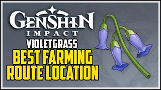 How to Get Violetgrass  Genshin Impact  Best Farming Route [upl. by Llenahs230]