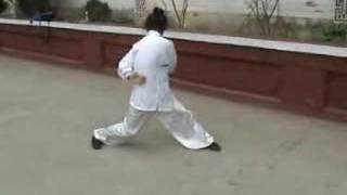 a kung fu masters amazing exercise [upl. by Layman]