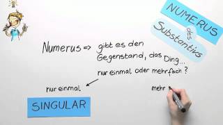 Der Numerus des Substantivs  Deutsch  Grammatik [upl. by Etneciv927]