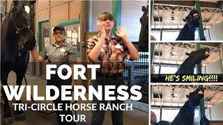 Disneys Fort Wilderness TriCircle Horse D Ranch Travel Review [upl. by Ellenid244]