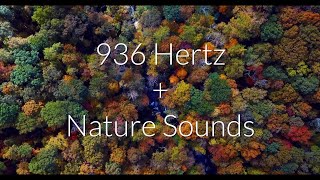 936 Hz  Nature Sounds Meditation Frequency Pineal Gland Activation 3rd Eye Opening Solfeggio Sleep [upl. by Kyre79]