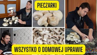 Domowa uprawa pieczarek  wszystko o domowej uprawie pieczarek cały proces od zakupu do zbioru [upl. by Amesari94]