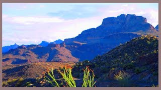 old Route 66 mountain pass Oatman AZ [upl. by Asiluy]