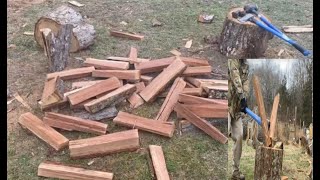 ASMR Calm Relaxing Peaceful Chopping Splitting Firewood Rounds With Ax Diamond Maul Sledge Hammer [upl. by Alig]