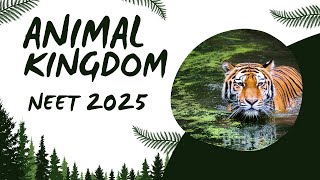 What Are The MOST IMPORTANT Animal Kingdom Questions For NEET 2025 neettamil neetenglish [upl. by Eicak]