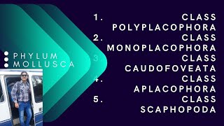 CLASS POLYPLACOPHORA [upl. by Inilahs]