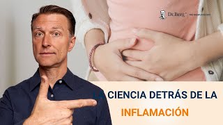 LA CIENCIA DETRÁS DE LA INFLAMACIÓN [upl. by Strohbehn654]