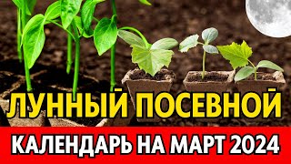 Когда сеять на рассаду в МАРТЕ 2024 Точный лунный посевной календарь на март 2024 по дням [upl. by Ecertal707]