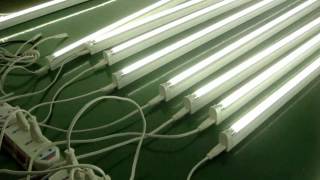 LED T5 Tube Light [upl. by Kcirttap]