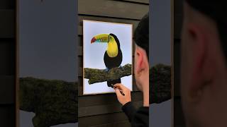 KeelBilled Toucan drawing process soft pastels amp pastel pencils on 30x40cm Pastelmat board [upl. by Colvert372]