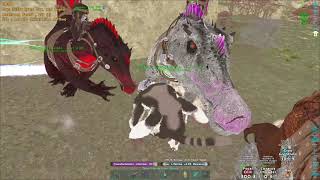 The Most Underrated Dino FEROX  Ark Official PVP 🍭 [upl. by Cirala]