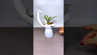 Best plant for home garden gardening plants flowers [upl. by Anivlek]