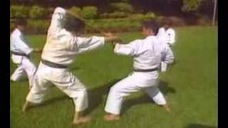 Bassai Sho Kenneth Funakoshi inc Bunkai [upl. by Nadoj41]