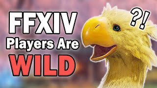 Weirdest Names FFXIV Players Give to Their Chocobos [upl. by Gina]