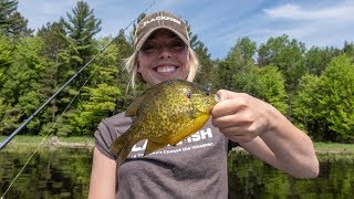 24 2019  Catching Everything on the Willow Flowage  PREVIEW [upl. by Colyer]