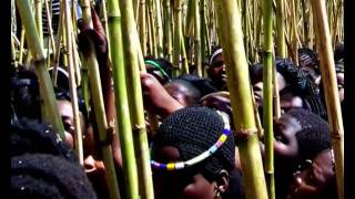 Zulu Reed Dance [upl. by Avery]