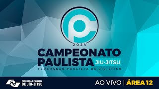 Área 12  Campeonato Paulista 2024 GI Domingo [upl. by Pelagia]