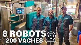 8 Robots  200 Vaches  New Batch Milking GEA France 🇫🇷 [upl. by Trevor]