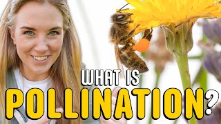 What is pollination  Plants for kids  Beekeeping with Maddie [upl. by Jauch]