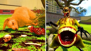 Secret Experiment ZOOCHOSIS Mutant Kangaroo  Garrys Mod [upl. by Anhoj]