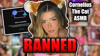 CorneliusTheCat ASMR Banned from YouTube for Sexual Content  ASMR DRAMA [upl. by Ailyt]