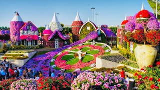 Miracle Garden Dubai 2022  The world’s largest natural flower garden [upl. by Jasmine847]