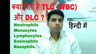 TLC or WBC and DLC test in hindi [upl. by Adnamas961]