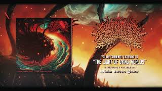 Labyrinthus Stellarum  The Light of Dying Worlds Track Premiere [upl. by Ybot]