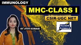 MHC CLASS 1  MAJOR HISTOCOMPATIBILITY COMPLEX  CSIR NET [upl. by Ahsa]